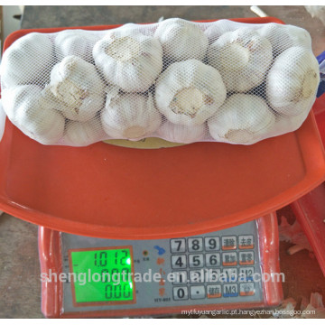 Colheita de alho branco normal chinês 2017 1kgx10 em caixa de 10 kg